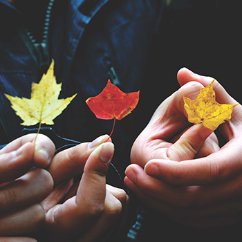 hand holding leaf